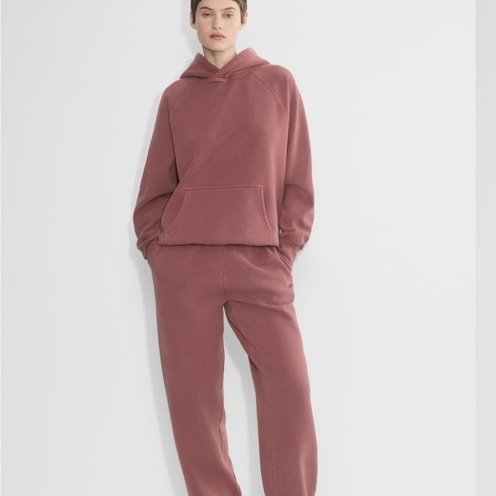 Aritzia Cozy Sweatfleece Mega Raglan Hoodie
